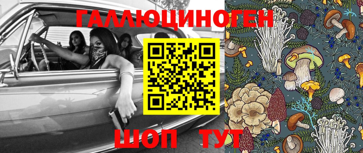 Галлюциногенные грибы GOLDEN TEACHER Сибай