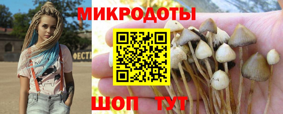 Псилоцибиновые грибы мухоморы  Вход с VPN  Сибай 