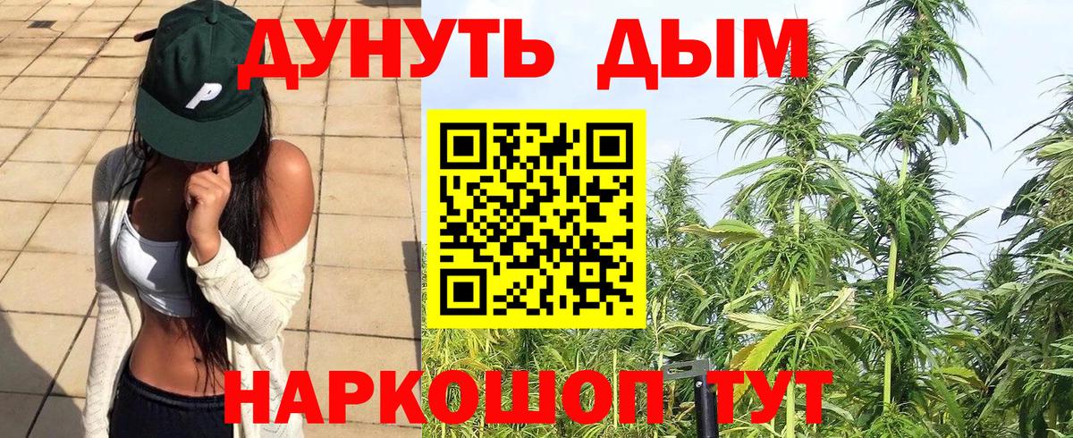 Марихуана сатива Сибай